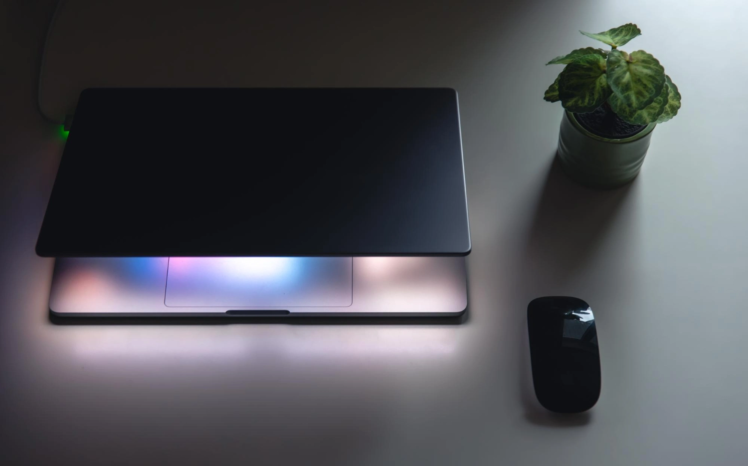 Laptop for video editing